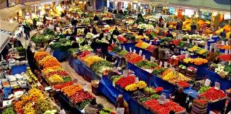 Yeni Dönem Sebze ve Meyve Haberleri yeni-dnem-sebze-ve-meyve-haberleri