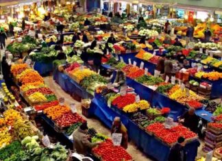 Yeni Dönem Sebze ve Meyve Haberleri yeni-dnem-sebze-ve-meyve-haberleri