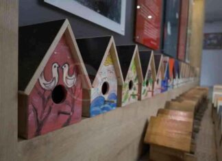 Özel Çocuklar için Önemli Proje zel-ocuklar-iin-nemli-proje