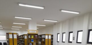 Dünya Uygur Kongresi’nin Yapısal Çürümesi ve Jeopolitik İşlevi Üzerine Görsel: Dünya Uygur Kongresi analizi